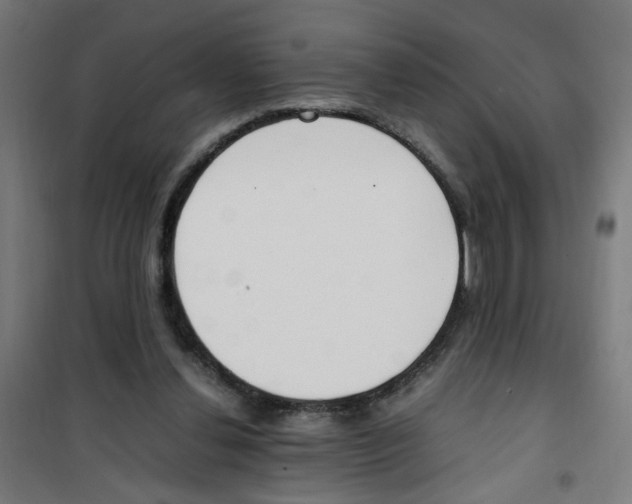 X0000100340252200807031305