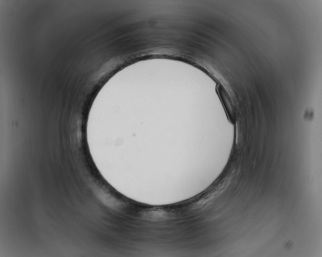 X0000100340253200807031305