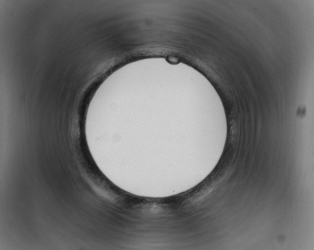 X0000100340254200807031305