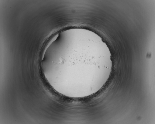 X0000100340256200807031305