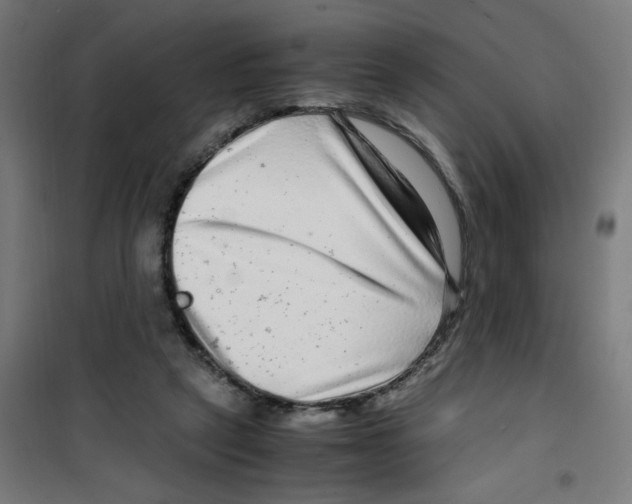 X0000100340257200807031305