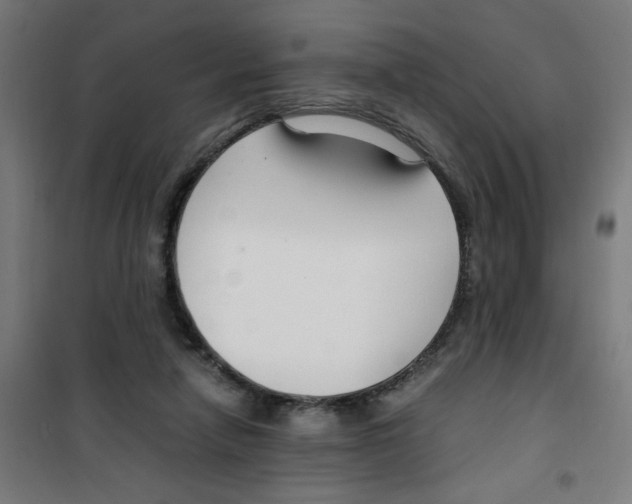 X0000100340258200807031305