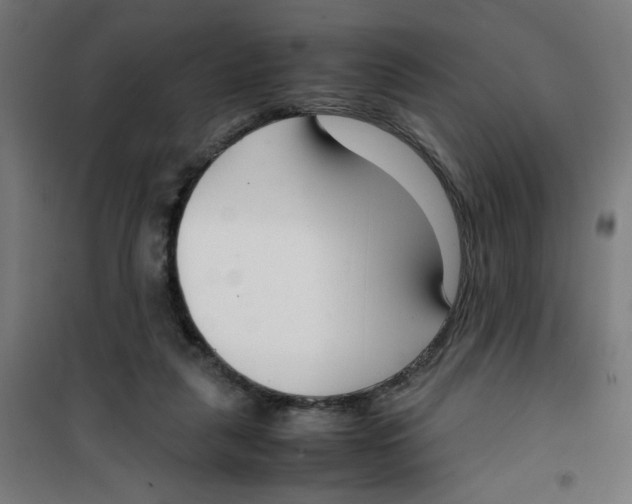 X0000100340259200807031305