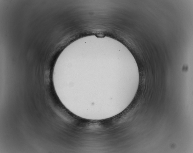 X0000100340262200807031305