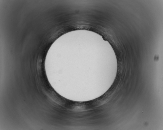 X0000100340263200807031305