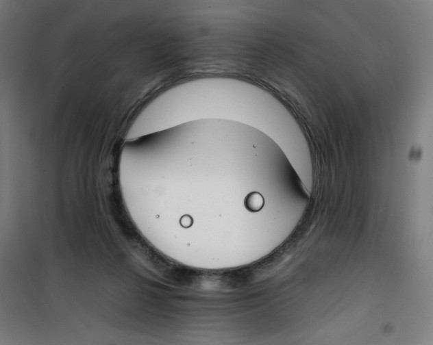 X0000100340264200807031305