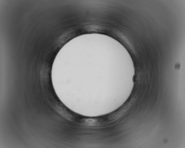 X0000100340265200807031305