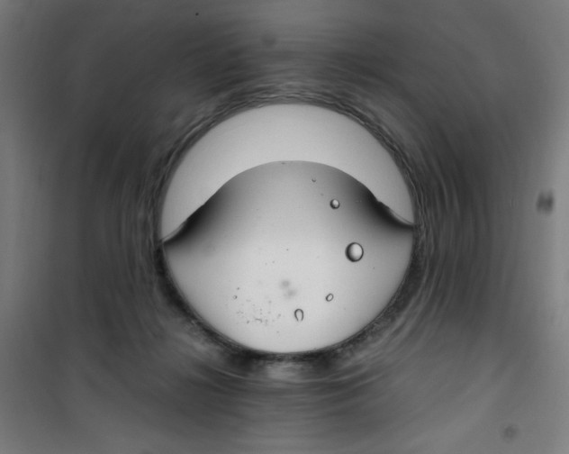 X0000100340268200807031305