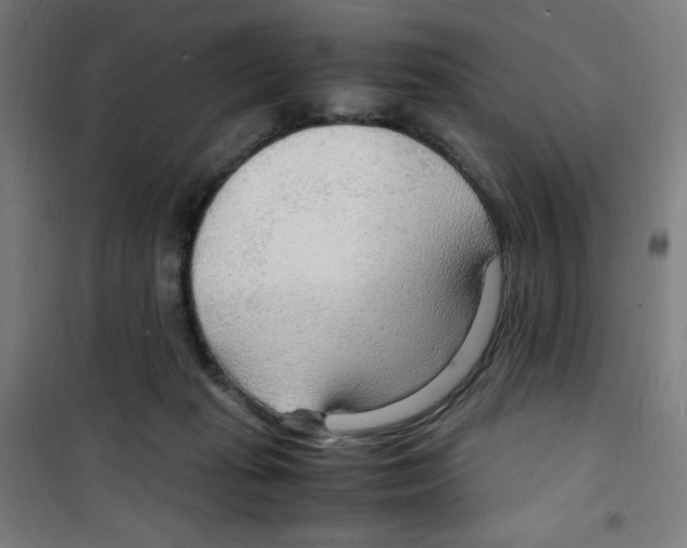 X0000100340269200807031305