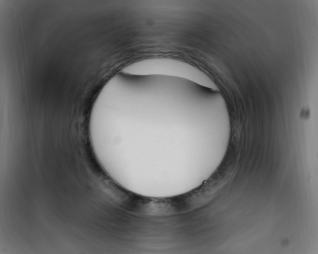 X0000100340270200807031305