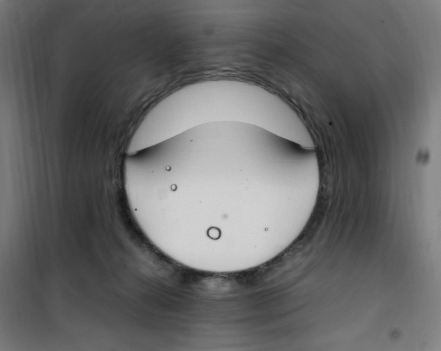 X0000100340272200807031305