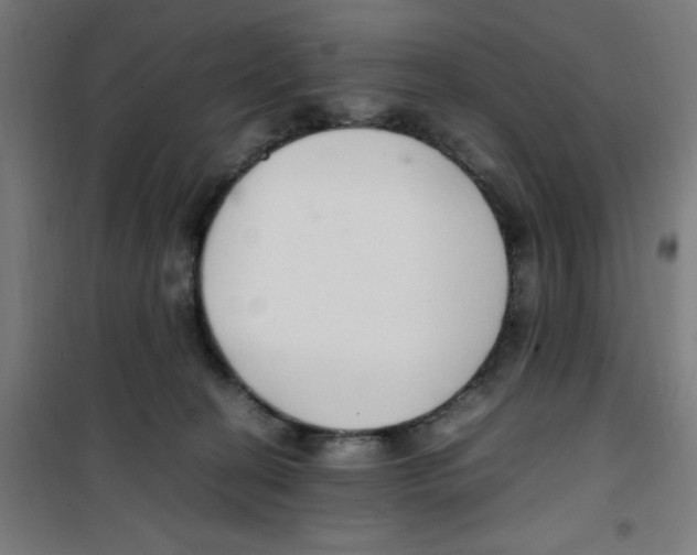 X0000100340274200807031305