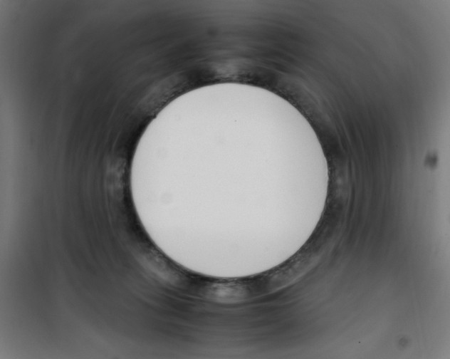 X0000100340275200807031305