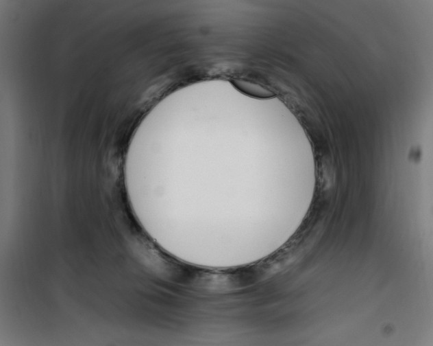 X0000100340276200807031305