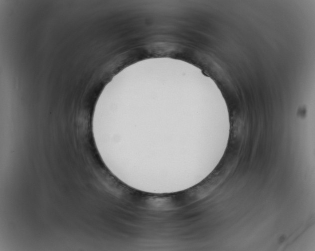 X0000100340283200807031305