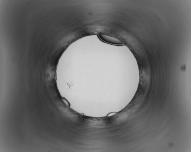 X0000100340284200807031306