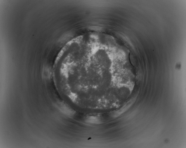 X0000100340285200807031306