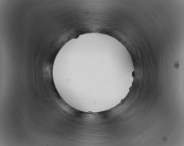 X0000100340286200807031306