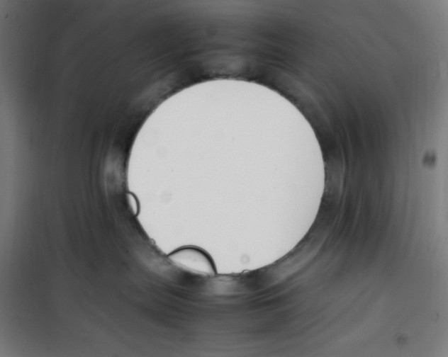 X0000100340287200807031306