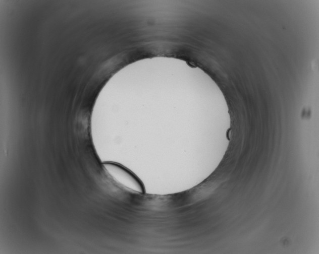 X0000100340288200807031306