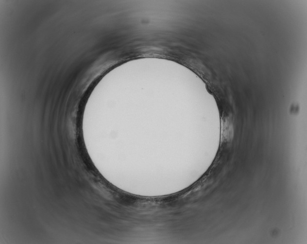 X0000100340291200807031305