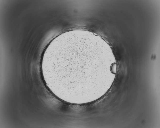 X0000100340293200807031305