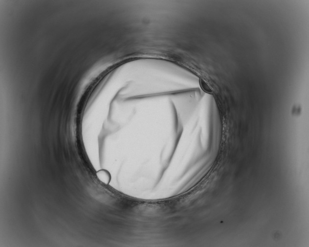 X0000100340294200807031305