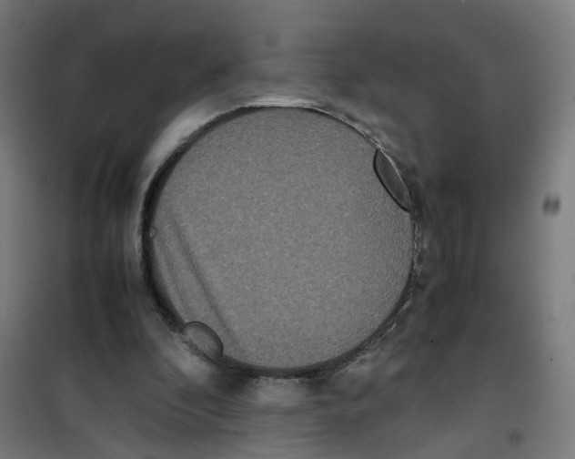 X0000100340296200807031305