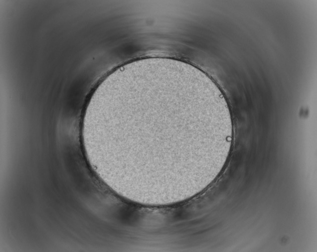 X0000100340297200807031305