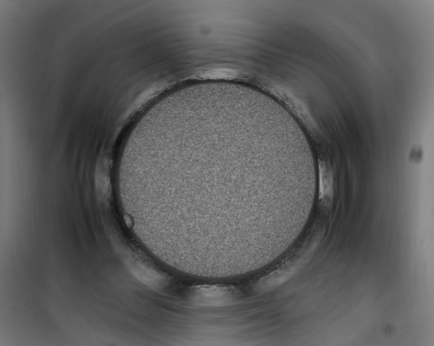 X0000100340300200807031305