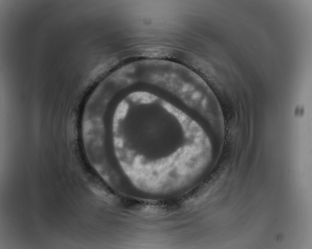 X0000100340303200807031305