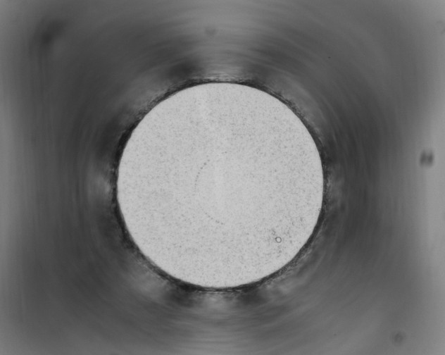 X0000100340305200807031304