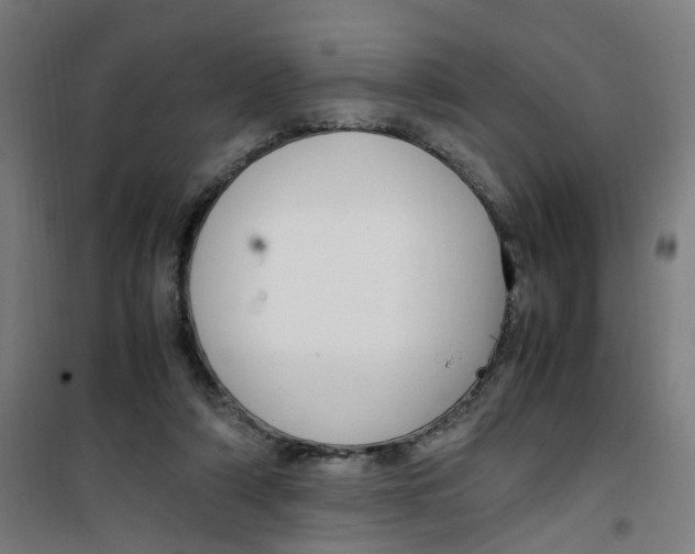 X0000100340306200807031304