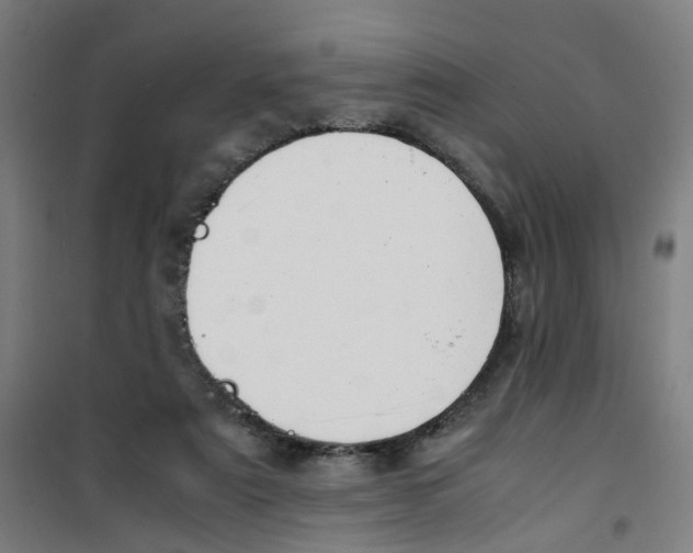 X0000100340307200807031304