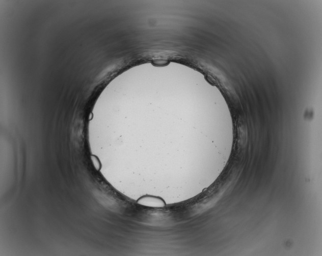 X0000100340308200807031304