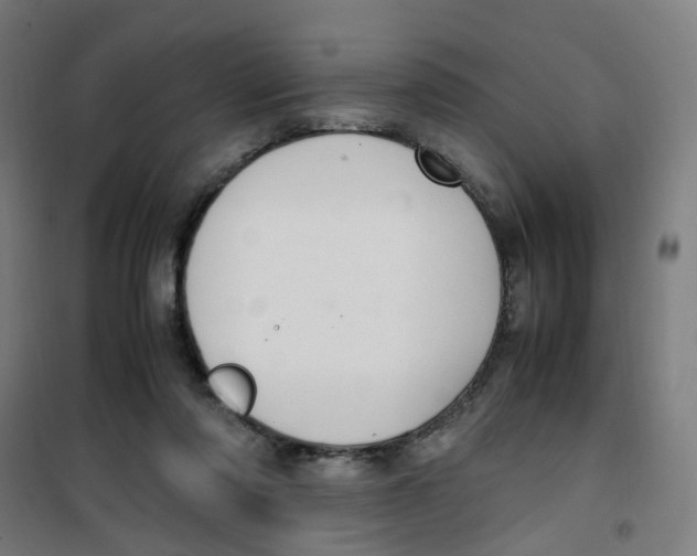 X0000100340310200807031304