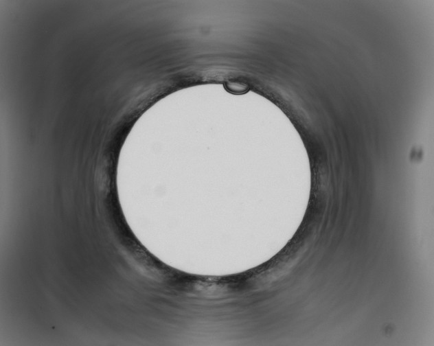 X0000100340311200807031304