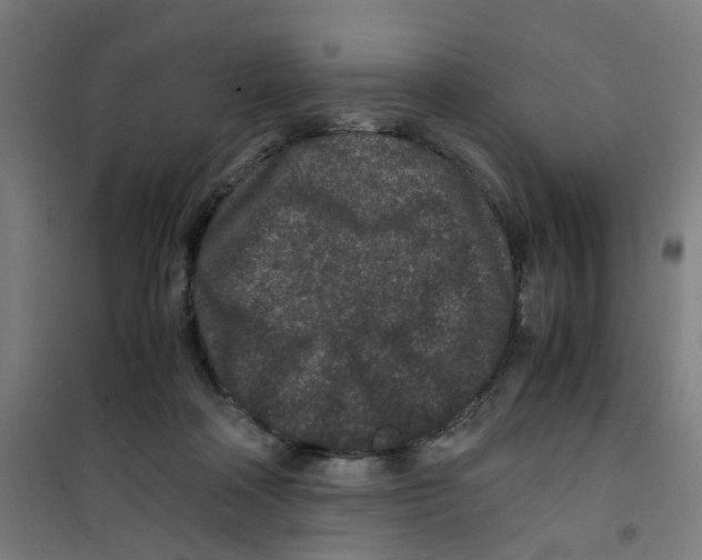 X0000100340314200807031304