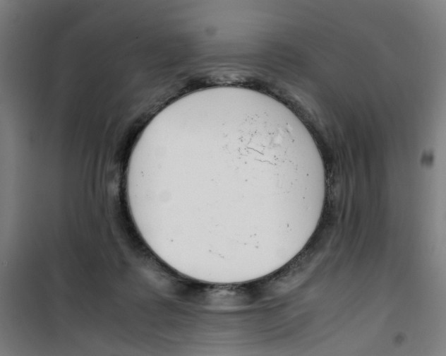 X0000100340315200807031304