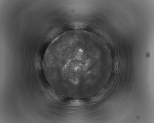 X0000100340316200807031304