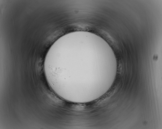 X0000100340318200807031304