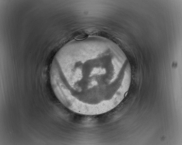 X0000100340319200807031304