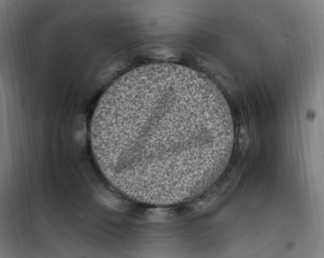 X0000100340320200807031304