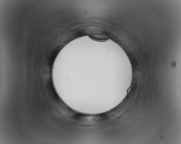 X0000100340323200807031304