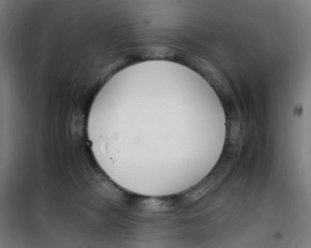 X0000100340326200807031304