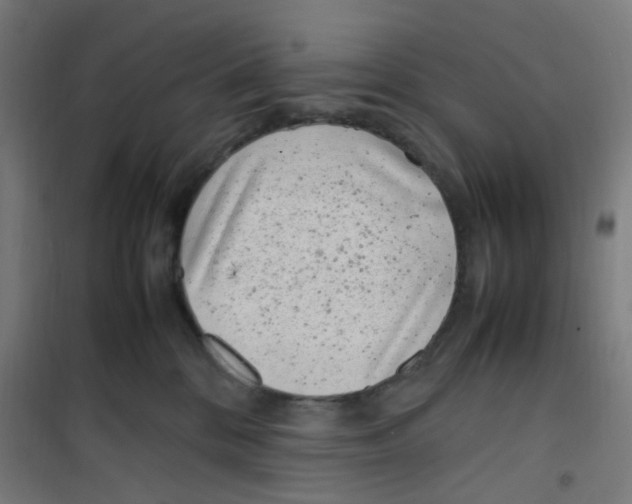 X0000100340328200807031304