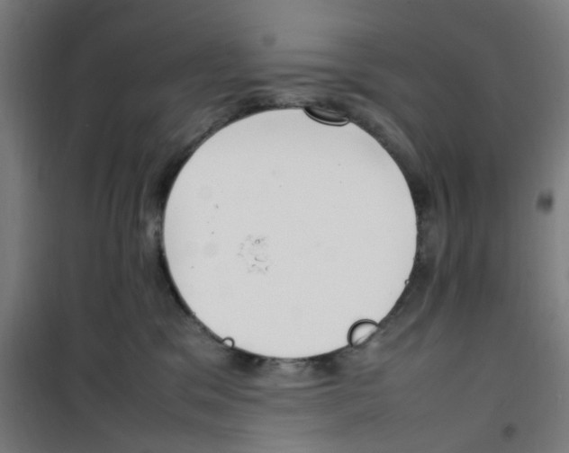 X0000100340329200807031304