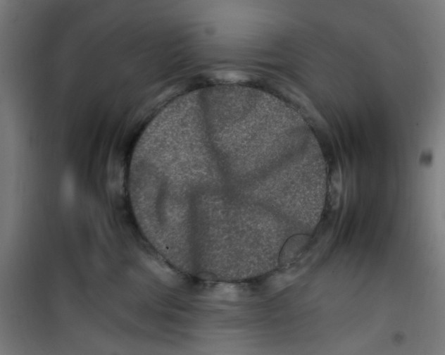 X0000100340330200807031304