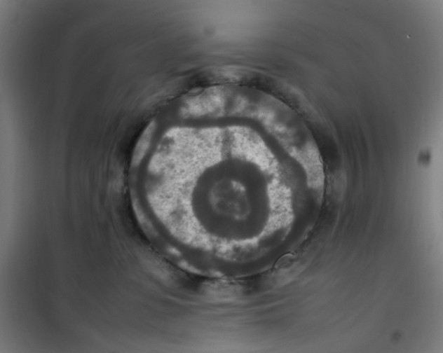 X0000100340331200807031304