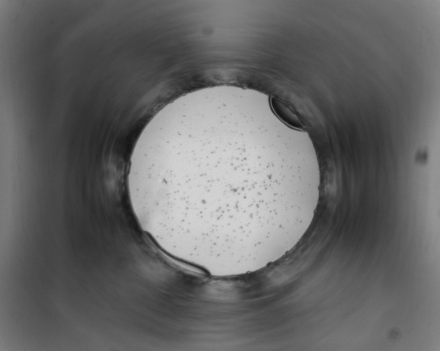 X0000100340332200807031304